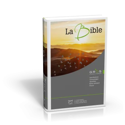 BIBLE SEGOND 21 GROS CARACTERES RIGIDE ILLUSTREE