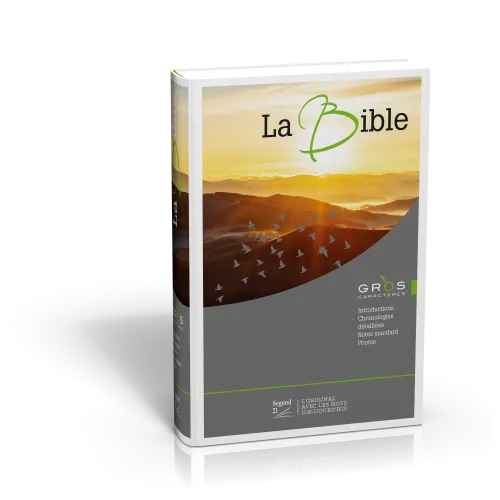 BIBLE SEGOND 21 GROS CARACTERES RIGIDE ILLUSTREE
