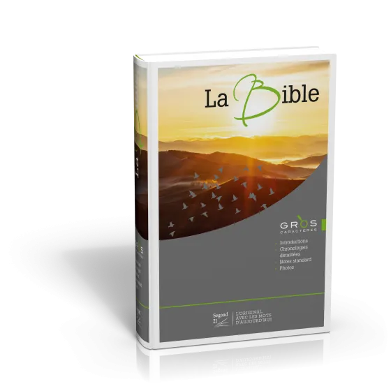 BIBLE SEGOND 21 GROS CARACTERES RIGIDE ILLUSTREE