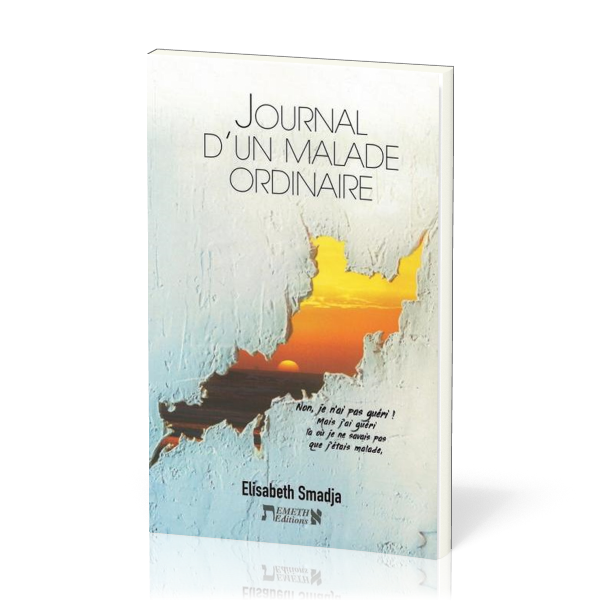JOURNAL D'UN MALADE ORDINAIRE