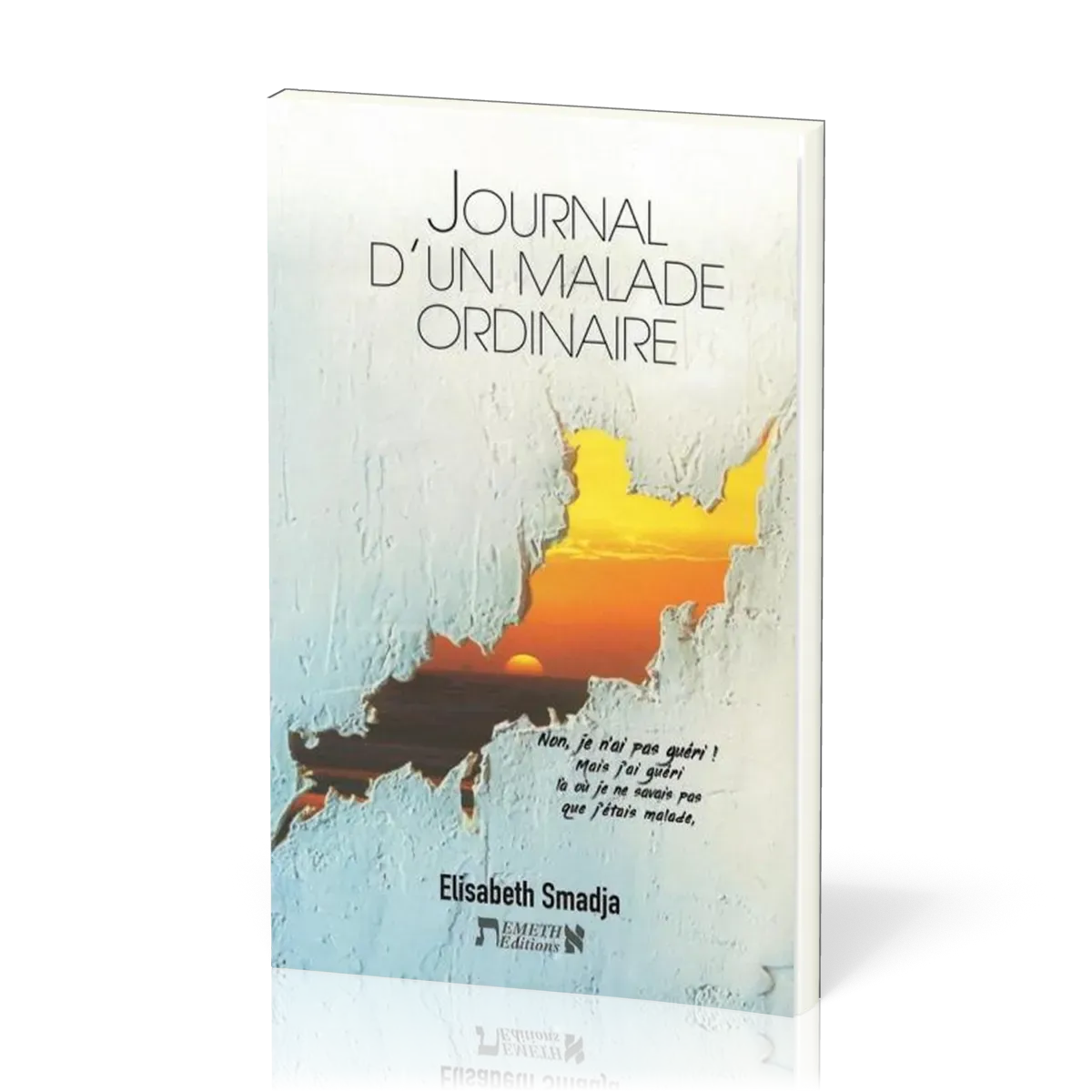 JOURNAL D'UN MALADE ORDINAIRE