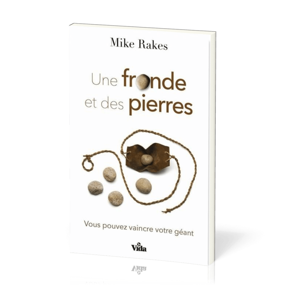 UNE FRONDE ET DES PIERRES