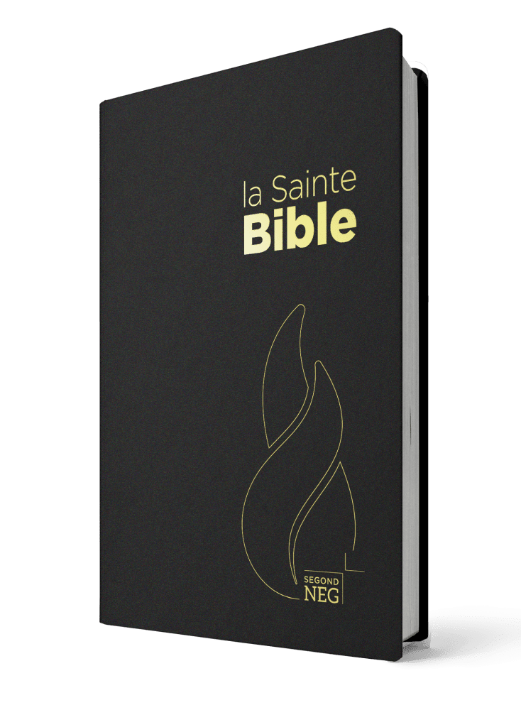 BIBLE NEG COMPACTE SOUPLE FLEXA NOIR