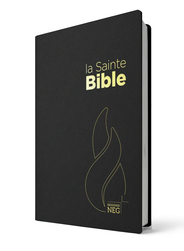 BIBLE NEG COMPACTE SOUPLE FLEXA NOIR
