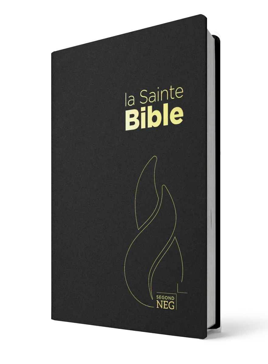 BIBLE NEG COMPACTE SOUPLE FLEXA NOIR