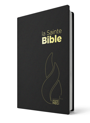 BIBLE NEG COMPACTE SOUPLE FLEXA NOIR