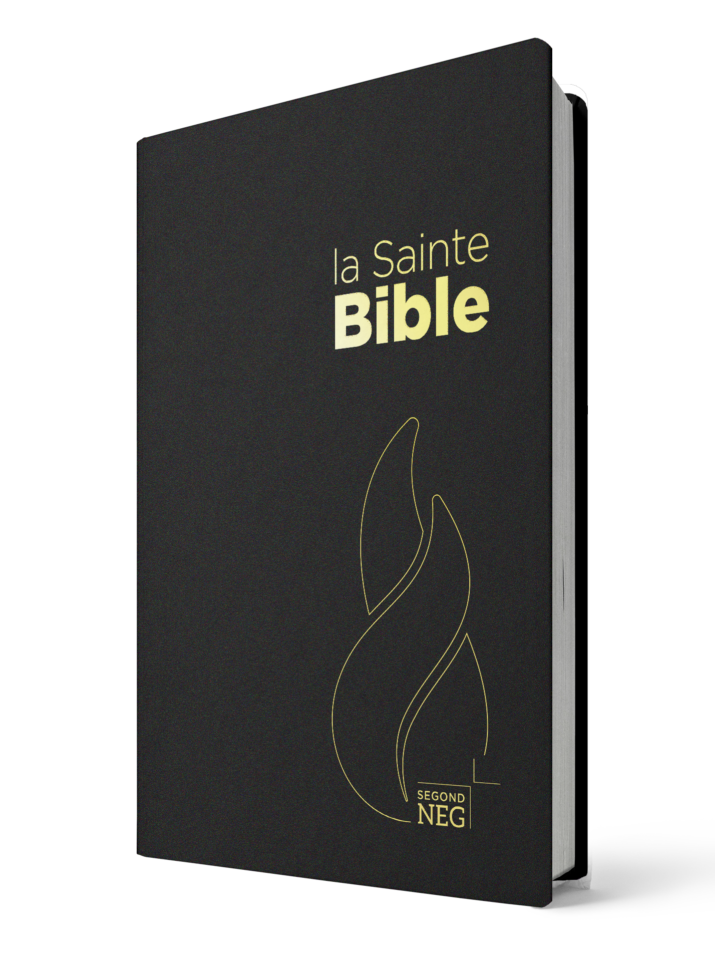 BIBLE NEG COMPACT PVC NOIR
