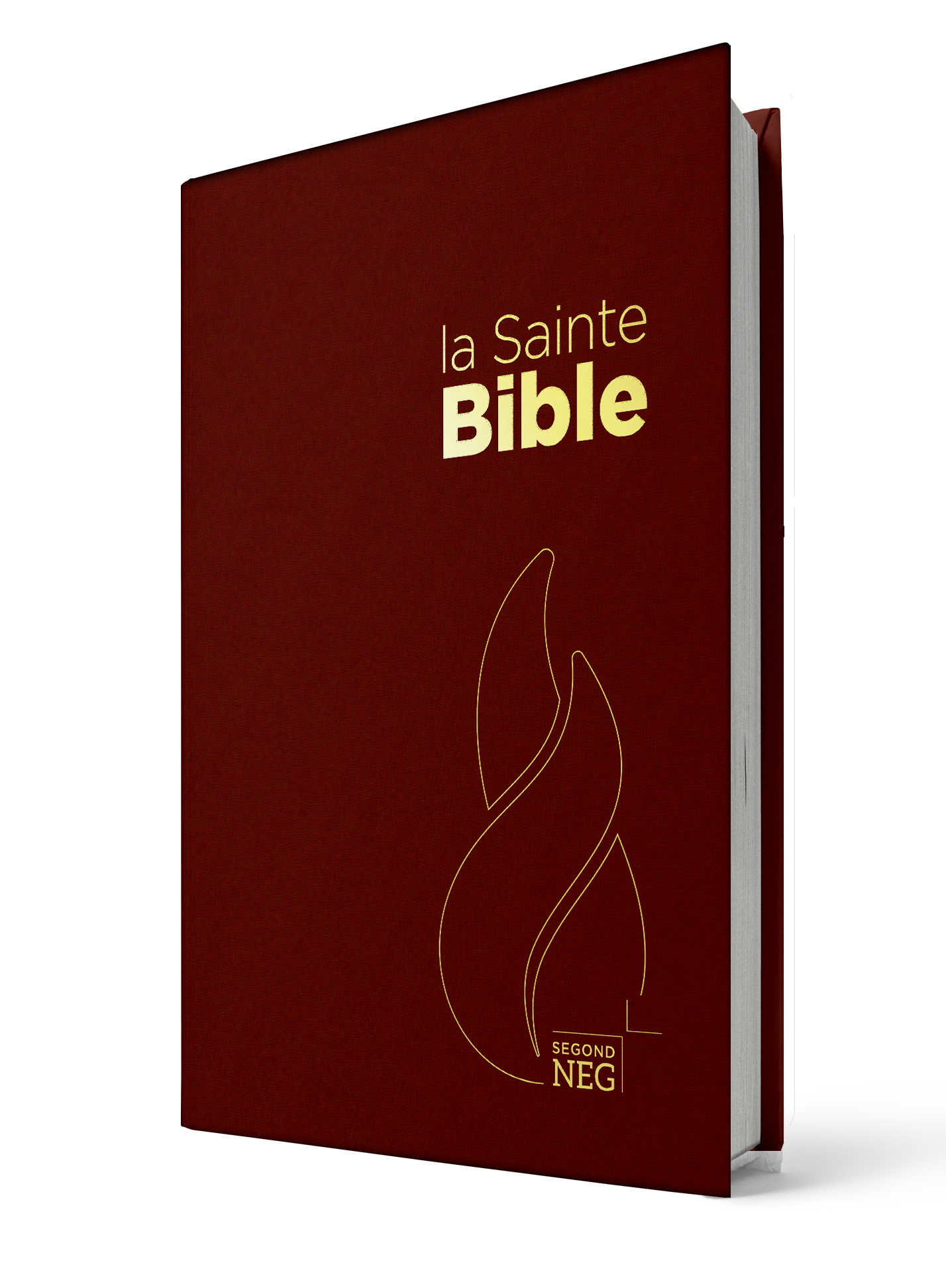 BIBLE NEG COMPACT RIGIDE GRENAT