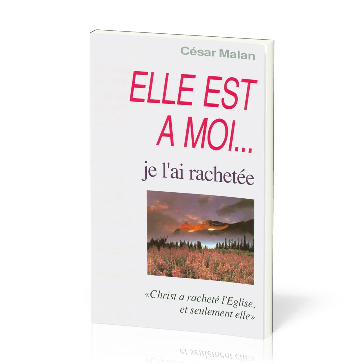 ELLE EST A MOI JE L'AI RACHETEE