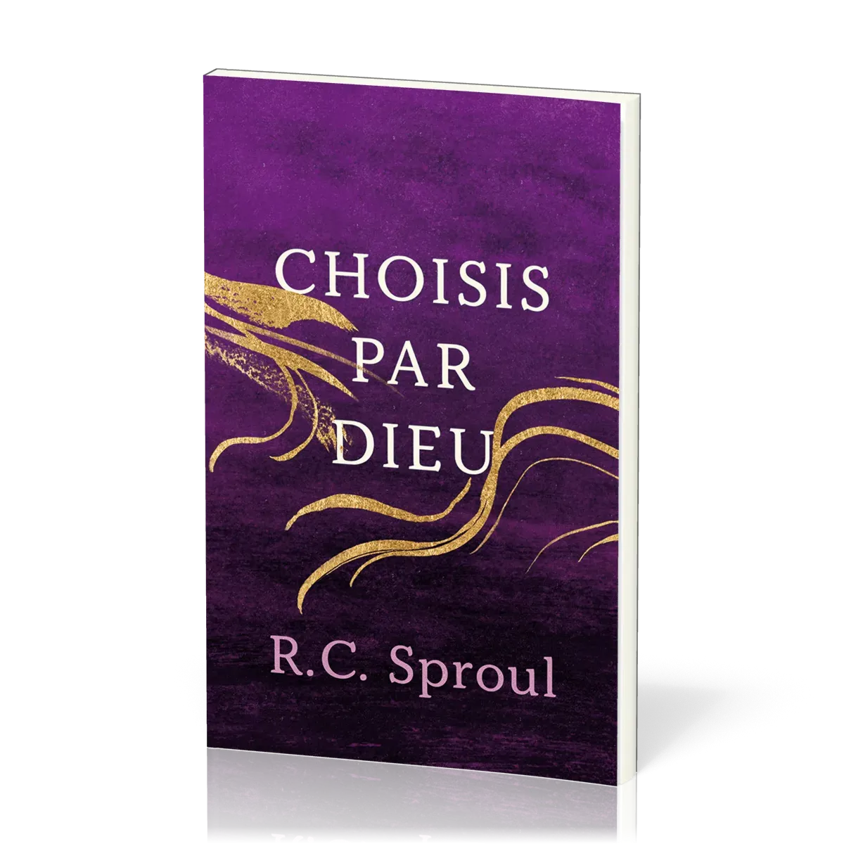 CHOISIS PAR DIEU