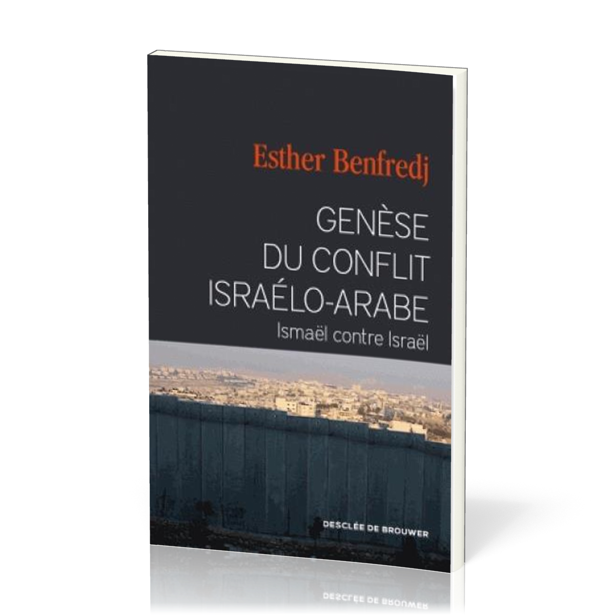 ISMAEL CONTRE ISRAEL - GENESE DU CONFLIT ISRAELO-ARABE