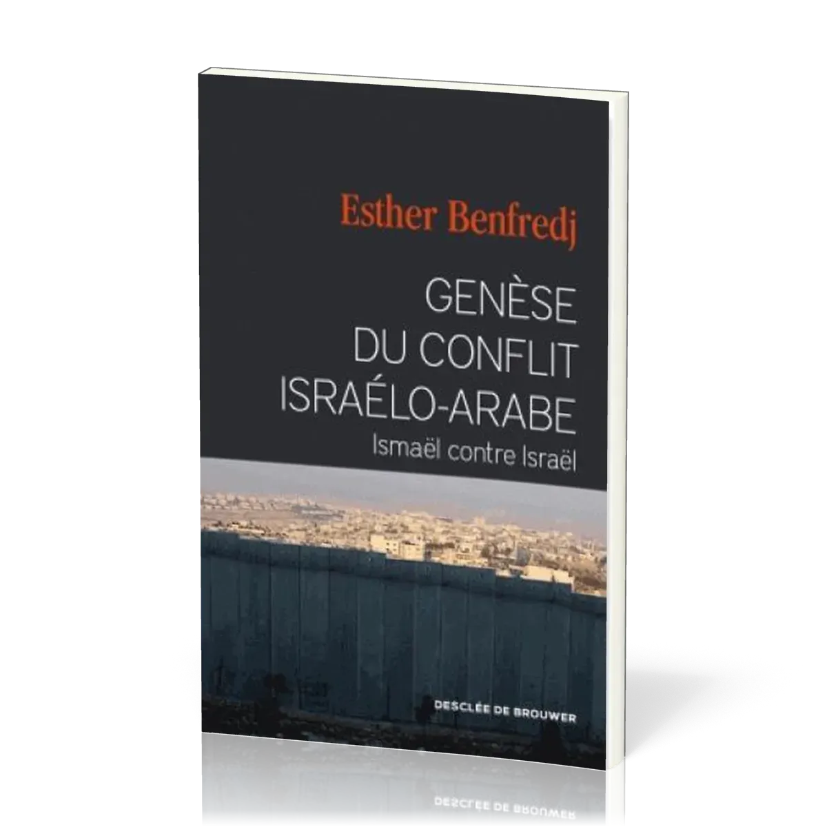 ISMAEL CONTRE ISRAEL - GENESE DU CONFLIT ISRAELO-ARABE