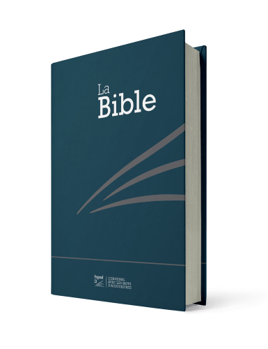 BIBLE SEGOND 21 COMPACTE RIGIDE SKIVERTEX BLEU