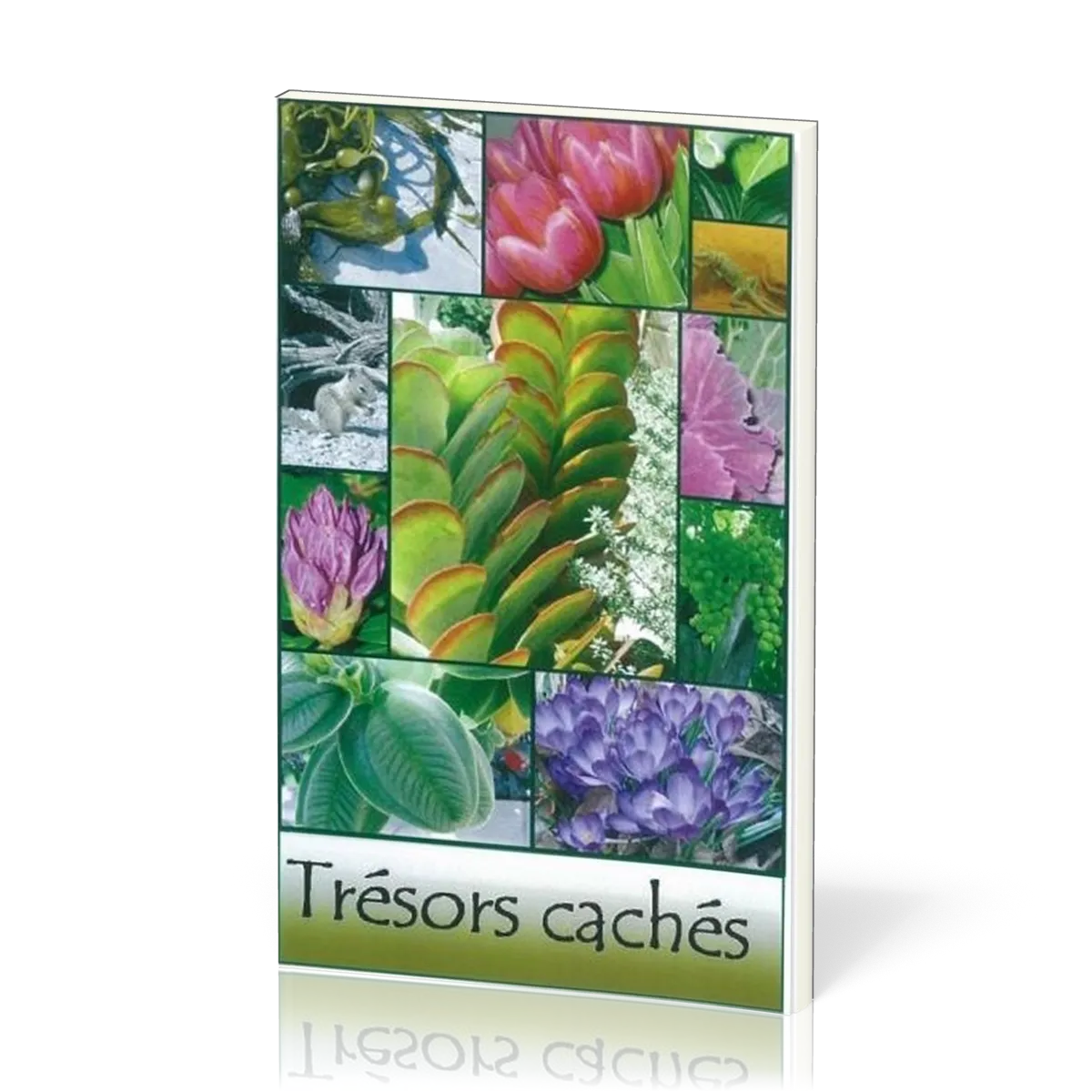 TRESORS CACHES