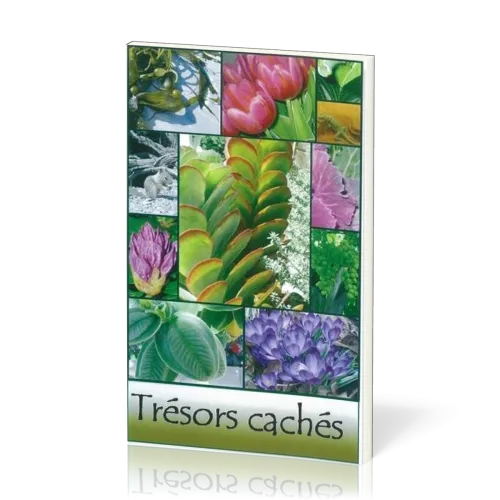 TRESORS CACHES