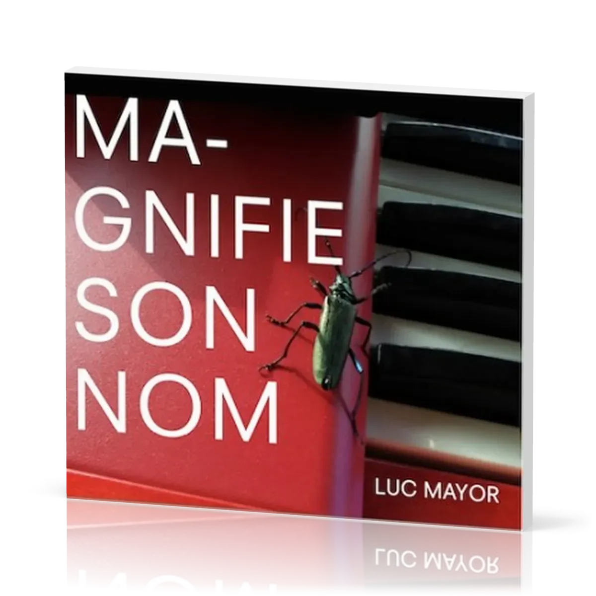 MAGNIFIE SON NOM CD