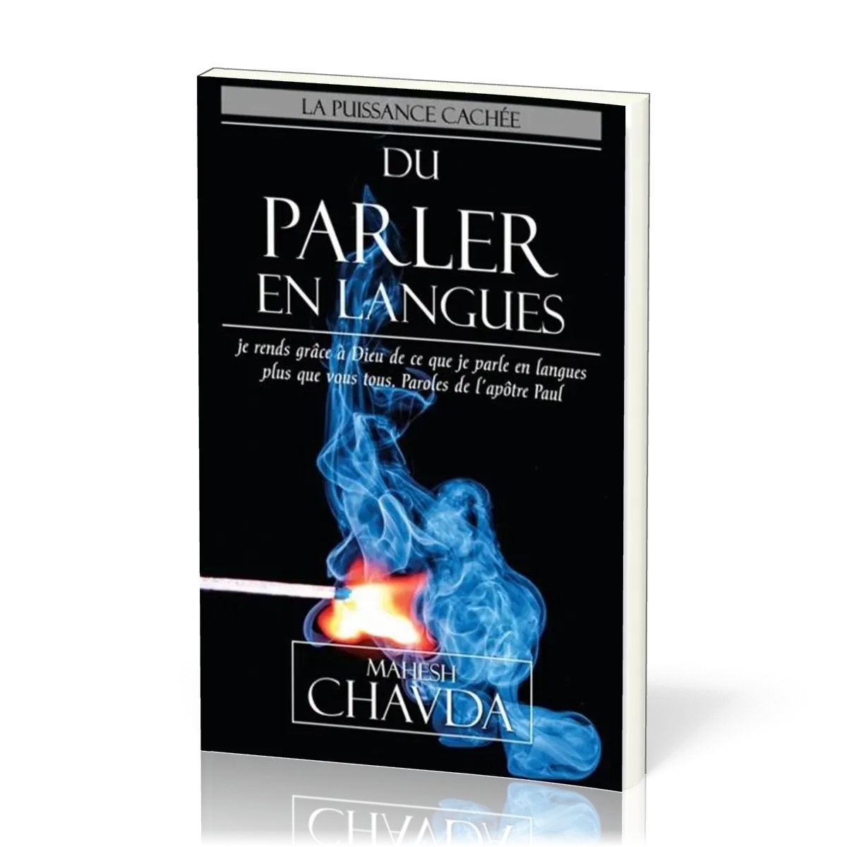 PUISSANCE CACHEE DU PARLER EN LANGUES