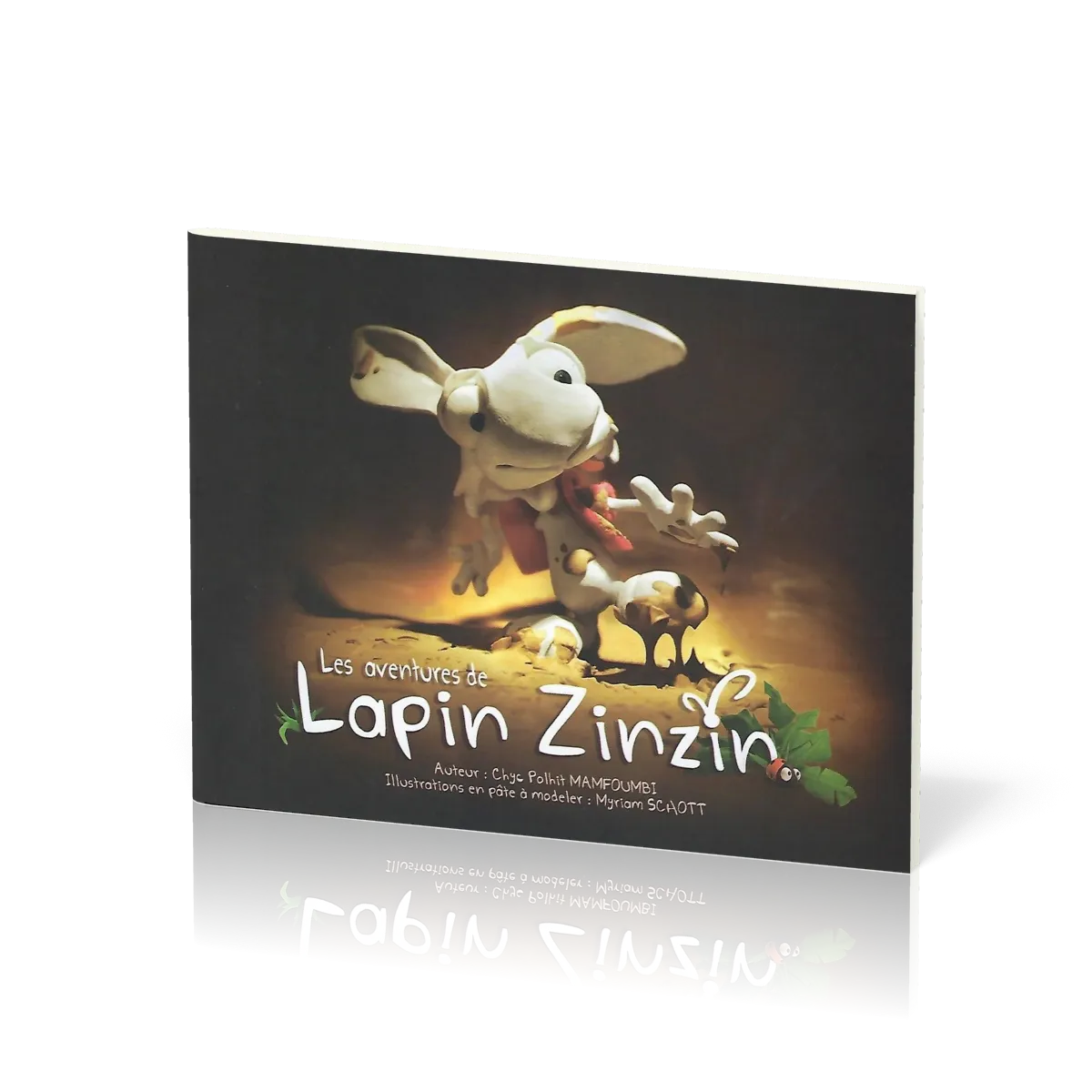 AVENTURES DU LAPIN ZINZIN (LES)