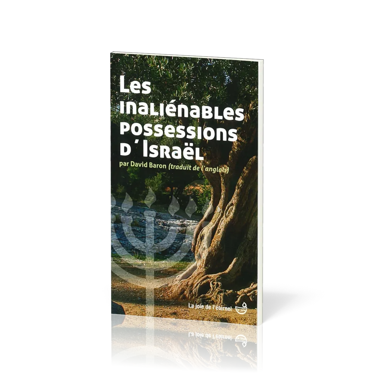 INALIENABLES POSSESSIONS D'ISRAEL