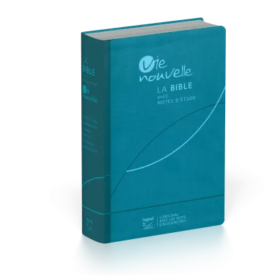 BIBLE SEGOND 21 VIE NOUVELLE SOUPLE VIVELLA BLEU ET TRANCHES ARGENTEES