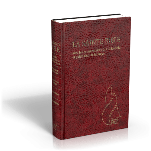 BIBLE NEG SCOFIELD RIGIDE SKYVERTEX BORDEAUX