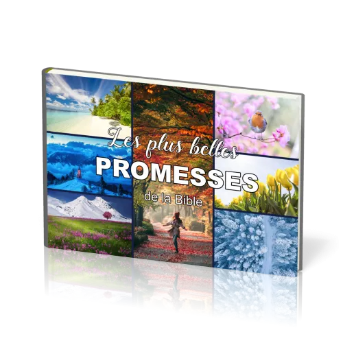 PLUS BELLES PROMESSES DE LA BIBLE (LES)