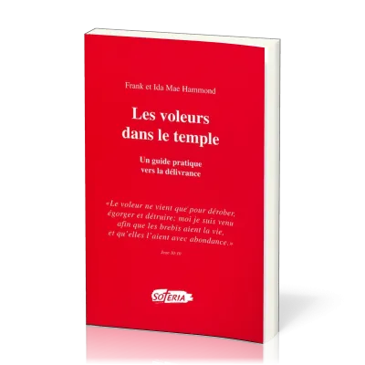 VOLEURS DANS LE TEMPLE