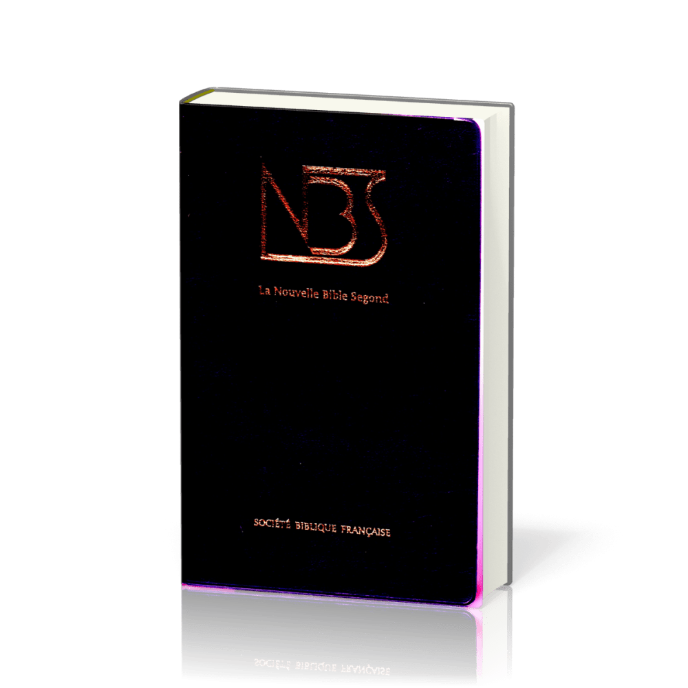 BIBLE NBS VINYLE GRIS