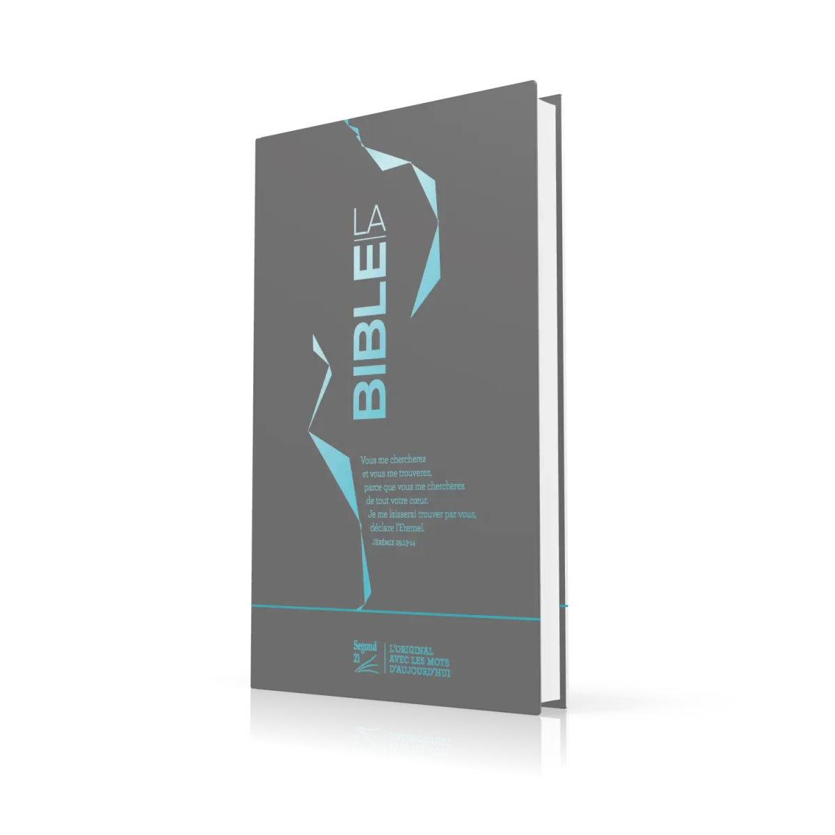 BIBLE SEGOND 21 SLIM RIGIDE MOTIFS ARGENTES BLEU