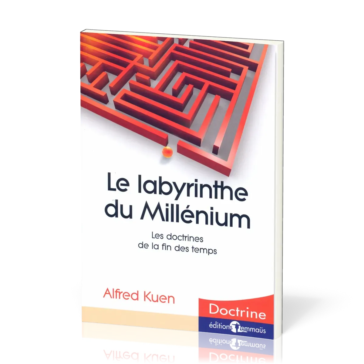 LABYRINTHE DU MILLENIUM (LE)