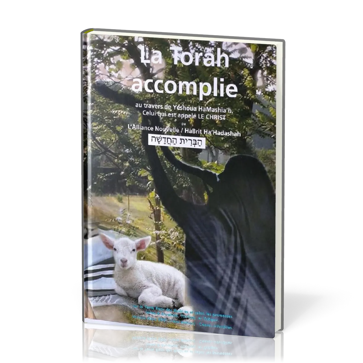 TORAH ACCOMPLIE (LA)