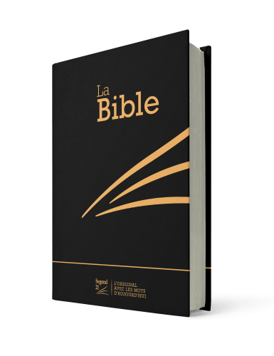 BIBLE SEGOND 21 COMPACTE RIGIDE SKIVERTEX NOIRE