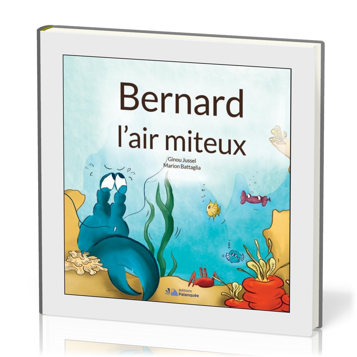 BERNARD L'AIR MITEUX