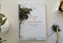 JOURNAL DE RECONNAISSANCE