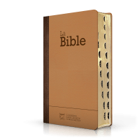 BIBLE SEGOND 21 COMPACTE "PREMIUM STYLE" SEMI RIGIDE DUO CUIR PRALINE CHOCOLAT - TRANCHES DOREES