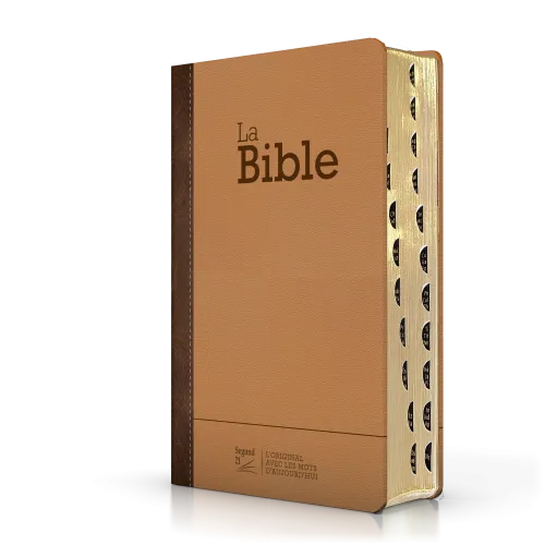 BIBLE SEGOND 21 COMPACTE "PREMIUM STYLE" SEMI RIGIDE DUO CUIR PRALINE CHOCOLAT - TRANCHES DOREES