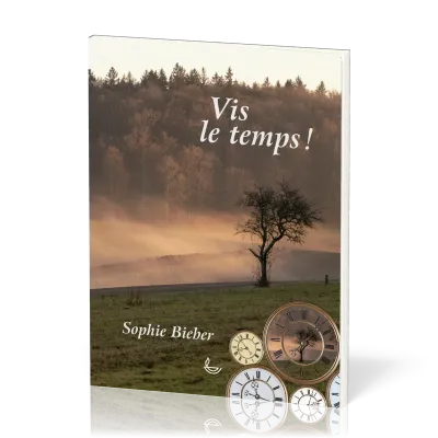 VIS LE TEMPS