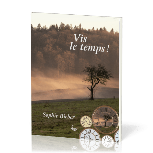 VIS LE TEMPS