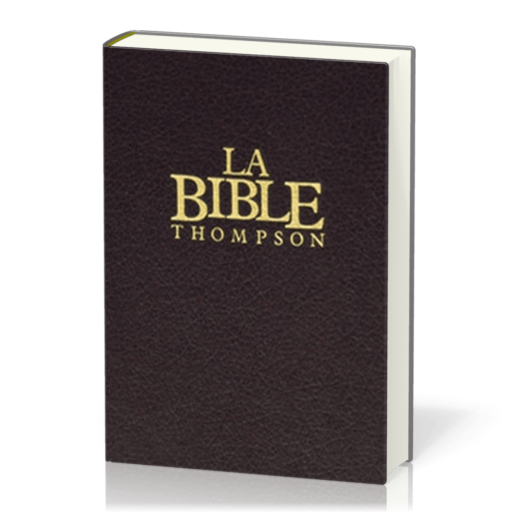 BIBLE THOMPSON COLOMBE ONGLETS RIGIDE GRENAT