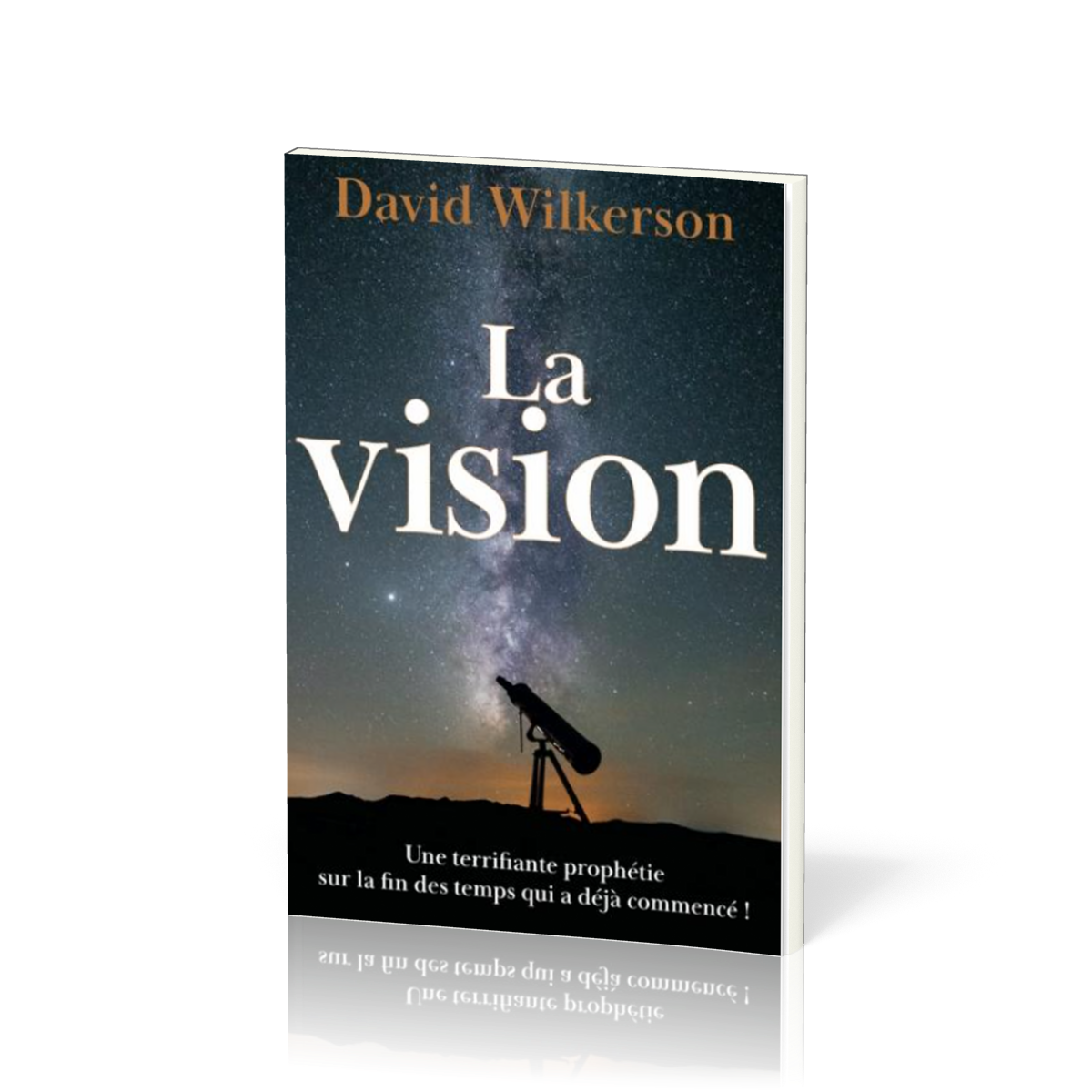 VISION (LA) - UNE TERRIFIANTE PROPHETIE SUR LA FIN DES TEMPS QUI A DEJA COMMENCE - NOUVELLE EDITION
