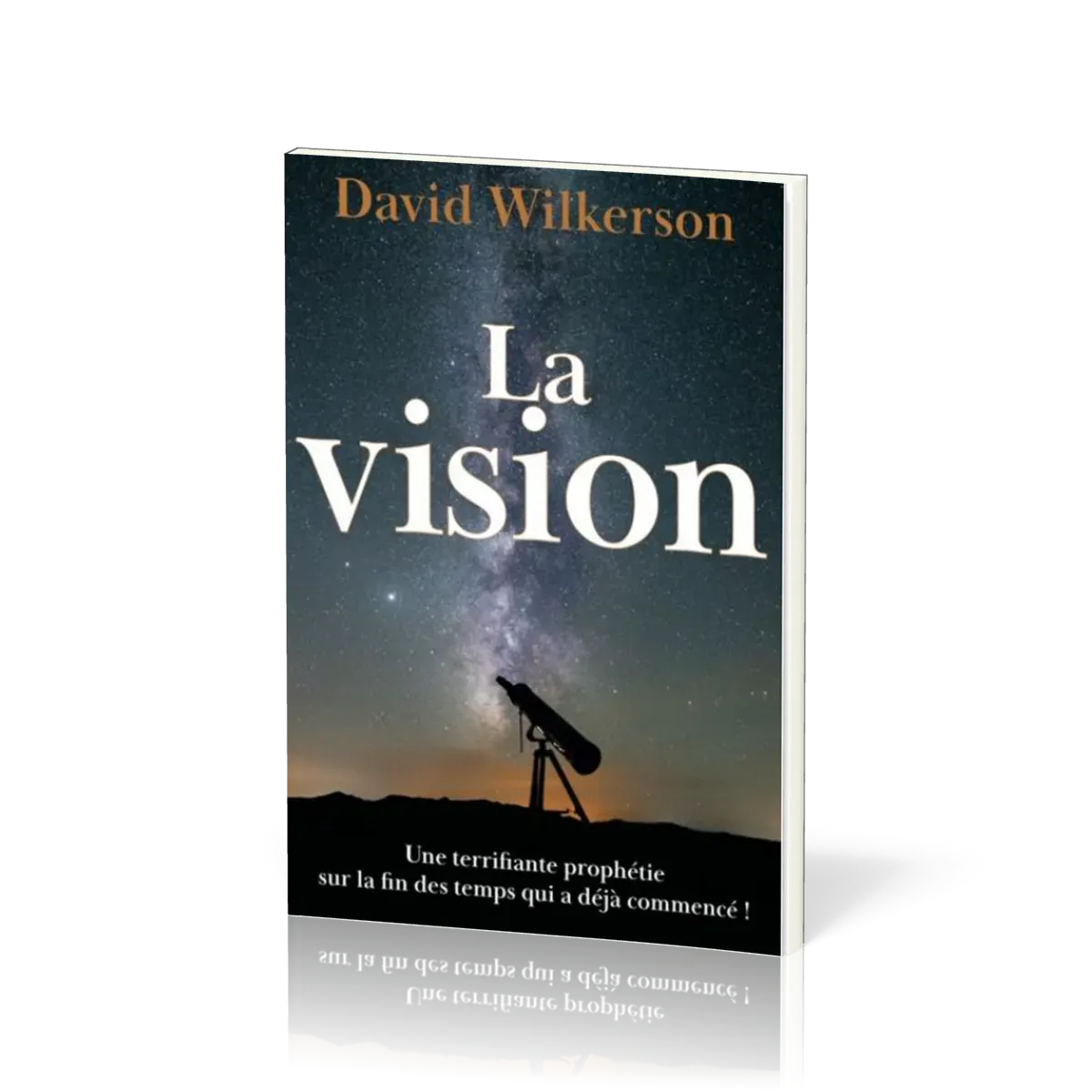 VISION (LA) - UNE TERRIFIANTE PROPHETIE SUR LA FIN DES TEMPS QUI A DEJA COMMENCE - NOUVELLE EDITION