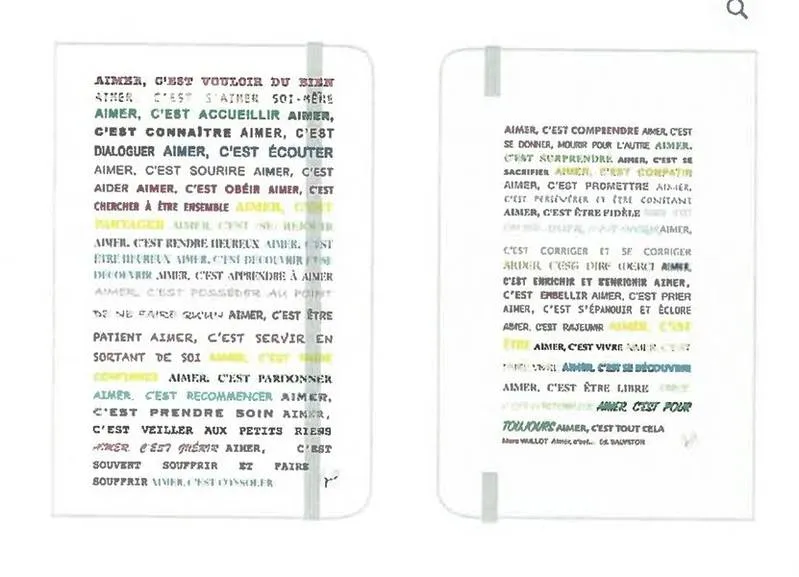 CARNET AIMER C'EST....MULTICOLORE