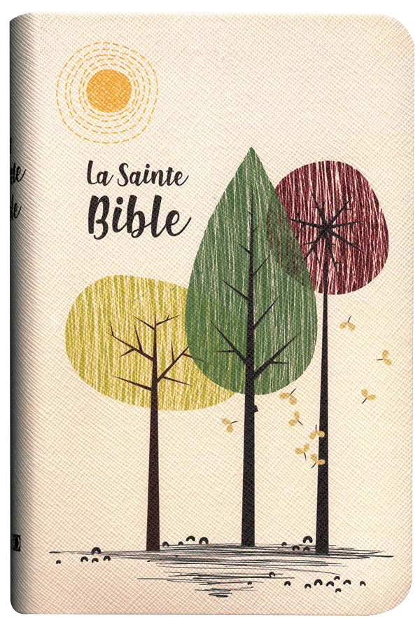 BIBLE SEGOND 1910 SIMILICUIR SOUPLE BEIGE ABRES TR. OR