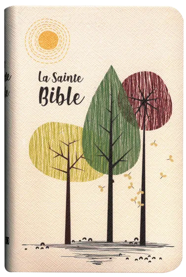 BIBLE SEGOND 1910 SIMILICUIR SOUPLE BEIGE ABRES TR. OR