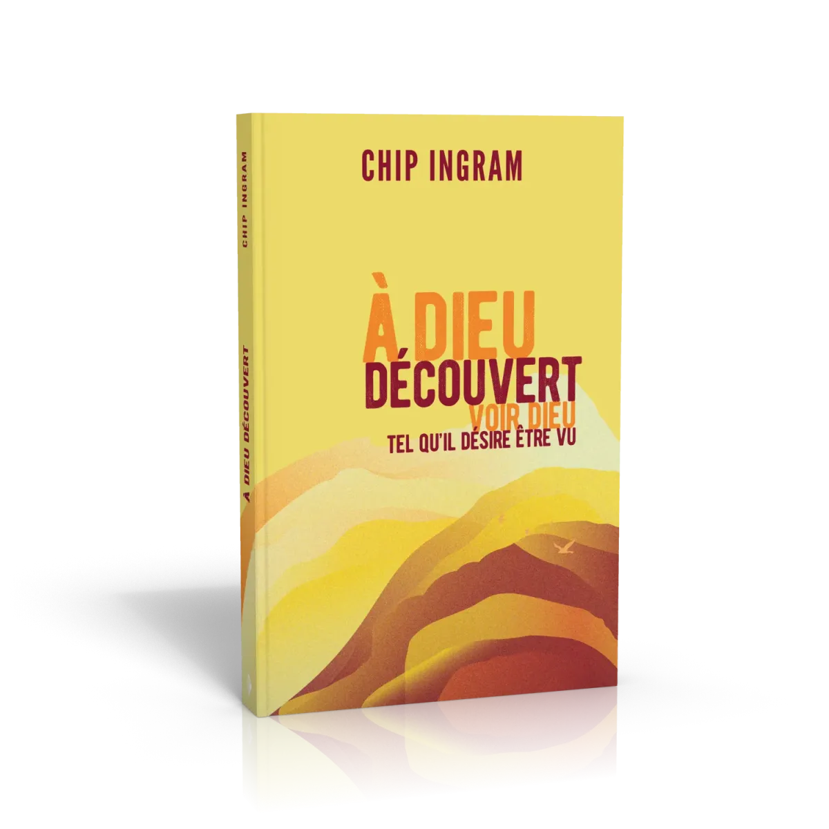 A DIEU DECOUVERT - VOIR DIEU TEL QU'IL DESIRE ETRE VU