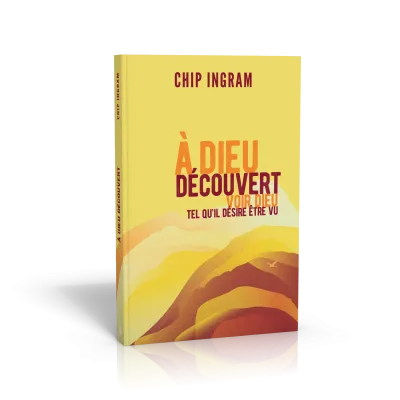 A DIEU DECOUVERT - VOIR DIEU TEL QU'IL DESIRE ETRE VU