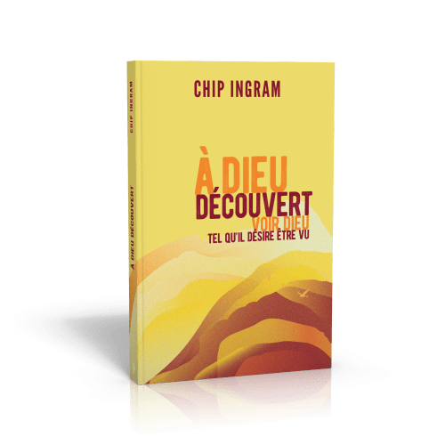 A DIEU DECOUVERT - VOIR DIEU TEL QU'IL DESIRE ETRE VU