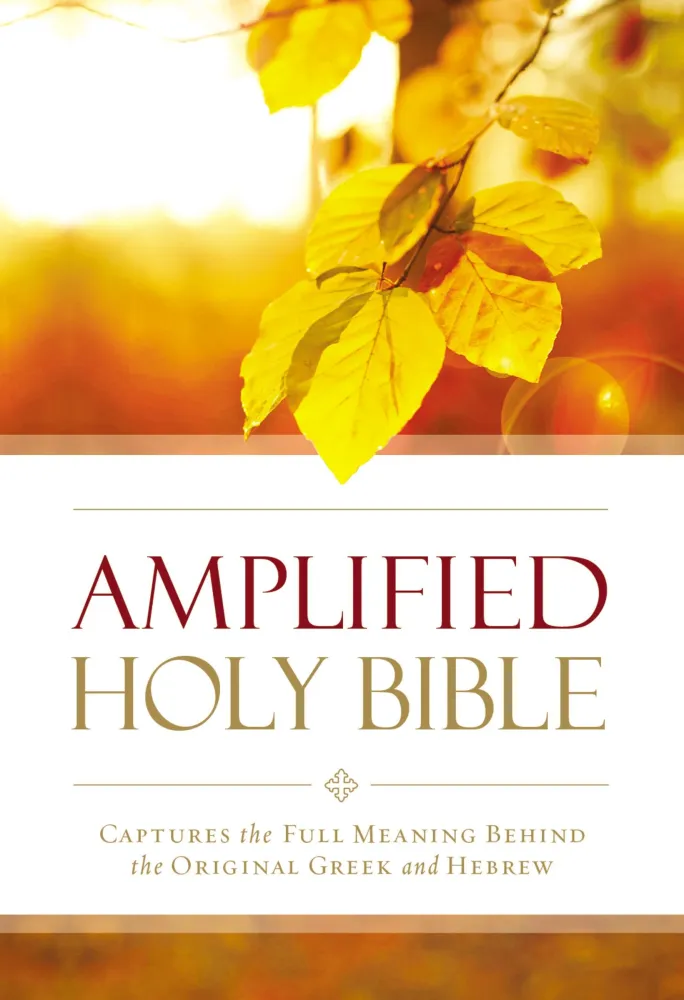 ANGLAIS BIBLE AMPLIFIED OUTREACH BIBLE