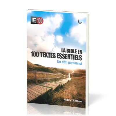 E100 - UN DEFI PERSONNEL - BROCHE