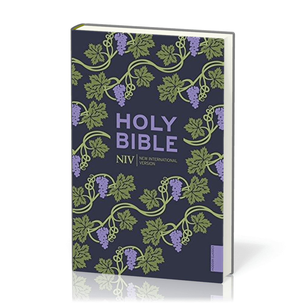 ANGLAIS BIBLE NIV HOLY BIBLE
